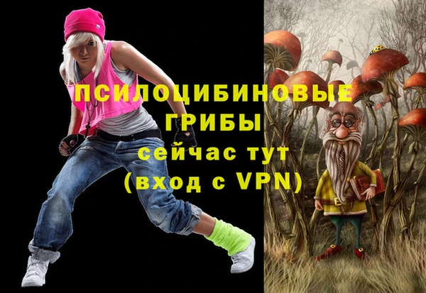 spice Володарск