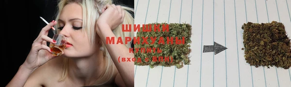 сатива Верхнеуральск