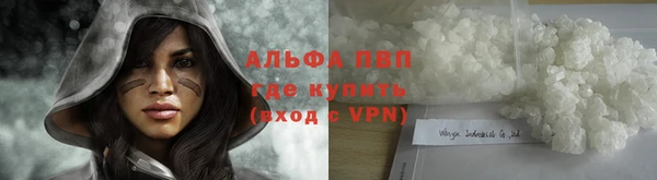spice Володарск