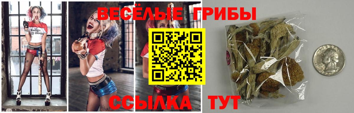 наркошоп  Димитровград  Галлюциногенные грибы ЛСД 